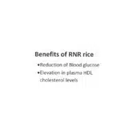 RNR-Diabetic-Rice-4